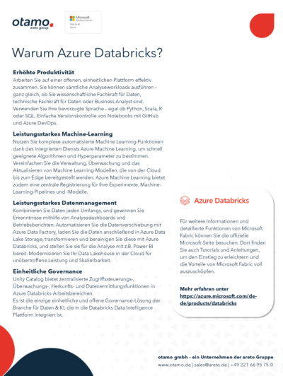 otamo Databricks PoC Übersicht 2